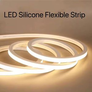 OEM ODM 12V/24V Diode électroluminescente flexible Lampe LED Lampe d'ambiance Lampe flexible Corde IP68/Mode commutateur WiFi - Product Image 2