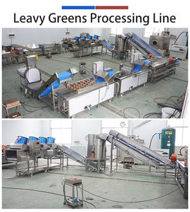 1-3t/h Leafy Greens Salad Vegetable Cutting Washing and Drying Machine - Product Image 4