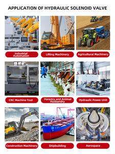 שסתום סולנואיד הידראולי <span class=keywords><strong>DC</strong></span> 24v 12v 3 דרך 2 מצבים שסתום בקרת כיוון אלקטרו-הידראולי - Product Image 6