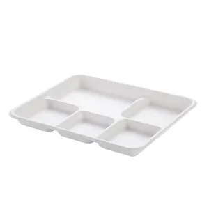 Nouveau produit tendance compostables bagasse de canne à sucre vaisselle biodégradable à 5 compartiments <span class=keywords><strong>plateau</strong></span> de déjeuner - Product Image 1