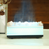 Diffuseur d'huiles essentielles à ultrasons avec lumière LED nocturne, humidificateur d'air à brume froide, parfum de sel de l'Himalaya