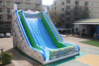 Lilytoys Toboggan gonflable sur mesure, toboggan gonflable Everest, grand toboggan gonflable, toboggan sec à rebond élevé pour adultes