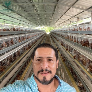 Jaulas para Pollos Tipo A, Galvanizadas por Inmersión en Caliente, Totalmente Automáticas, para 10000 20000 Aves, Cría de Aves de Corral, Gallinero - Product Image 6
