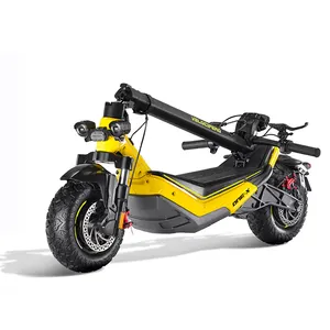 Scooter elettrici di alta qualità da 500W motore singolo doppio freno idraulico batteria al litio 16Ah scooter adulti
