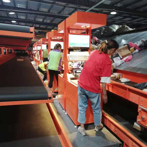 효율적인 창고 관리 솔루션을 위한 정적 DWS 2 분류 시스템 - Product Image 6