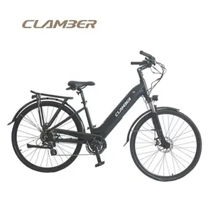E Bike Wholesale Customization Battery E Bike Electric Bicycle EB5020E