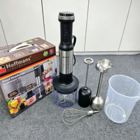 Ensemble mixeur plongeant 5-en-1 Hoffmans 800W HM-8044 avec hachoir à viande robuste et fouet à œufs pour le Nigéria (vente en gros)
