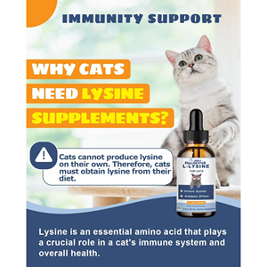 OEM/ODM Oscar Suppléments liquides <span class=keywords><strong>pour</strong></span> animaux de compagnie L-<span class=keywords><strong>Lysine</strong></span> <span class=keywords><strong>pour</strong></span> chats Codonopsis Astragalus Support immunitaire et de santé - Product Image 2