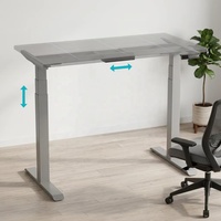 Cadre de bureau ergonomique assis-debout à double moteur, réglable en hauteur, en métal, pour poste de travail intelligent