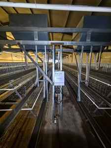 ฟาร์มเล็ก แบบ 3 ชั้น สำหรับเลี้ยงไก่ไข่ - Product Image 3