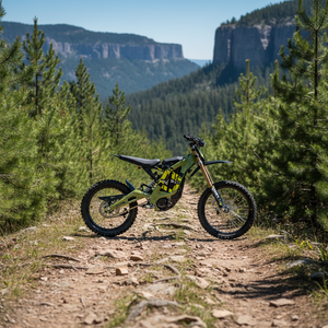 En stock 2026 – Vélo électrique tout-terrain Sur Ron à <span class=keywords><strong>prix</strong></span> abordable, 72V 10kW, modèle Surron Light Bee <span class=keywords><strong>X</strong></span>, pour adultes - Product Image 2
