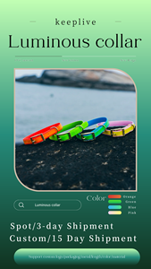 Auf Lager Wasserdichtes leuchtendes Hunde halsband und Leinen-Set Stoß dämpfend Bequem für Hunde - Product Image 6