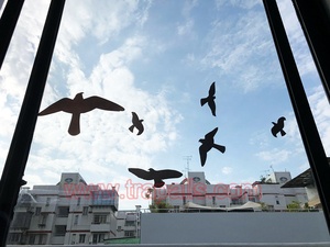 Adhesivo Repelente <span class=keywords><strong>de</strong></span> Aves para Ventanas <span class=keywords><strong>de</strong></span> Plástico Moderno, Reutilizable y Sostenible, Previene que las Aves Migratorias se Golpeen con el Vidrio, Protector <span class=keywords><strong>de</strong></span> Palomas para el Hogar - Product Image 3