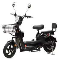 Vélo Électrique Urbain 48V 350W OEM Chine en Gros, 3 Vitesses, Batterie Plomb-Acide, Cadre en Acier Carbone, E-Bike Haute Technologie