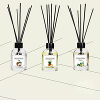 Diffuseur de parfum d'ambiance aux fruits 100 ml avec bâtonnets, huile essentielle, longue durée, diffuseur de luxe, purificateur d'air