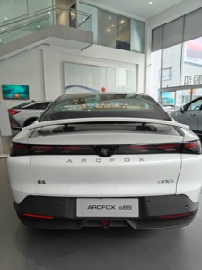 Xe ô tô cỡ trung Extreme Fox New Energy Arctic Fox Alpha S5/ SUV Sedan điện hoàn toàn với động cơ điện - Product Image 4