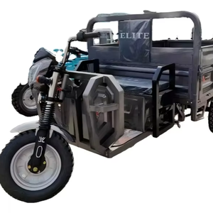 CHANGLI Tricycle Moto Auto-chargeur Best-seller avec Moteur 1500W 60V Disponible Homologué CEE - Product Image 1