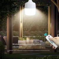 Ampoule LED solaire rechargeable avec crochet – Éclairage d'urgence étanche pour camping, tentes, randonnée et usage domestique