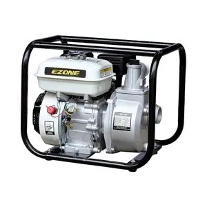 Pompe A Eau精华意大利5.5Hp进口气体电动汽油压力压力马达发动机水泵用于农业