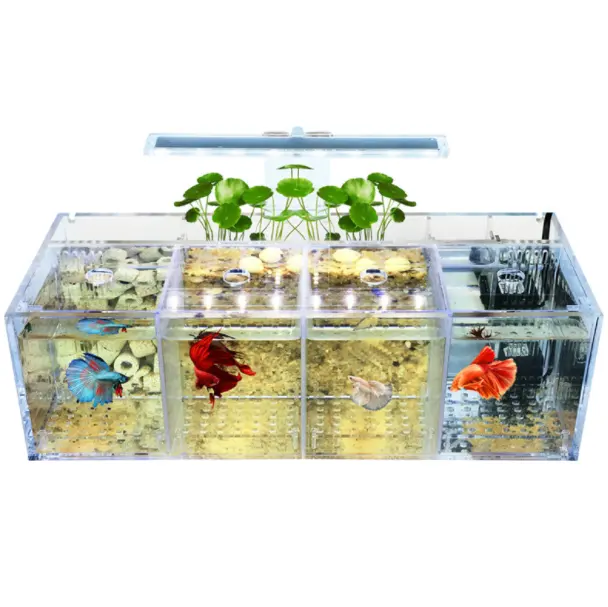 Goedkope Aangepaste Waterdichte Clear Acryl Aquarium Aquarium