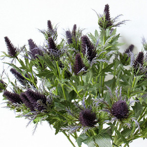 A-1075 Simulation Mer Houx Artificiel Chardon Pulvérisation Eryngo Faux <span class=keywords><strong>Eryngium</strong></span> <span class=keywords><strong>Foetidum</strong></span> Fleur pour Pièce Maîtresse De Mariage Décor À La Maison - Product Image 3