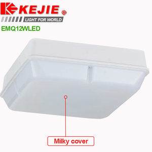 <span class=keywords><strong>Led</strong></span> khẩn cấp vách ngăn ánh sáng Trần bán buôn vuông dẫn khẩn cấp vách ngăn ánh sáng khách sạn 20 ~ 30W IP65 dẫn ánh sáng Trần khẩn cấp - Product Image 6