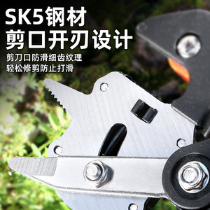 Cisailles de greffage Kyushu Garden 5-10 mm en acier inoxydable à coupe de sécurité pour arbres fruitiers et semis - Product Image 4