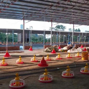 Автоматический кормушка для бройлеров, птицефабрики, эффективное оборудование для кормления кур - Product Image 2