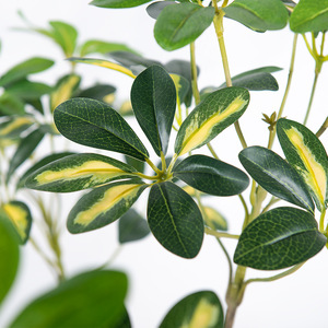 El Fabricante Tiene un Fuerte Impulso de Ventas para los Modelos de Exhibición de Alta Gama para Interiores, Planta Artificial Schefflera - Product Image 6