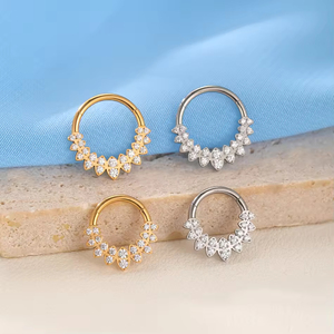 G23 Titane Anneau à segments articulés avec double ligne CZ Bijoux Piercing Nez Boucle d'oreille <span class=keywords><strong>Helix</strong></span> Ear Ring - Product Image 4