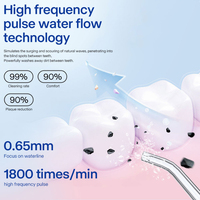Wasserflosser Chinesischer Hersteller OEM Tischgerät Tragbarer Wasserflosser UV-Sterilisator Individuelles Logo Private Label Dental