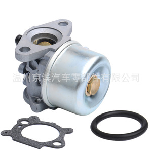 Carburateur Briggs Stratton C1, pièce de rechange mécanique pour moteurs 694202 693909 692648 499617 498170 497586 498254 - Product Image 5