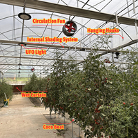 Système de ventilation et de refroidissement Baolida pour zones tropicales, serre polyvalente à toit en dents de scie pour tomates