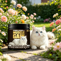 Vente en gros OEM ODM Marque privée Friandises à mâcher pour le développement musculaire des chats, Suppléments personnalisés riches en protéines pour la récupération de poids