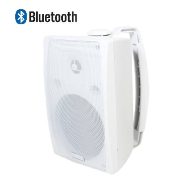 V Smart 6.5-Inch Wall Speaker with Bluetooth 5.0 & Aux Input for Boutique Hotel Room Audio Speaker