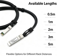 Kabel DAC Tembaga SFP28 25G Direct Attach, Kabel Twinax Pasif 25GbE, Berbagai Pilihan Panjang untuk Koneksi Server & Switch