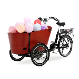 250W 3 Wheels Electric tricycle Eco-friendly cargo trike for take children