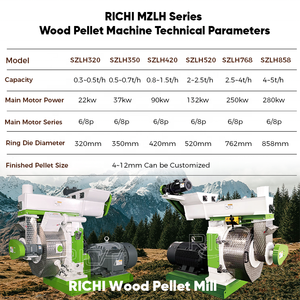 RICHI 每小时500公斤木颗粒机 - 西门子电机 6毫米小型木颗粒机，用于制作木颗粒 - Product Image 2