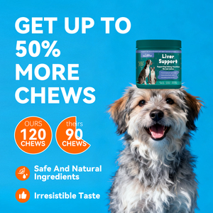 Cardo de leche OEM masticables para perros, soporte hepático para hígado y riñón con desintoxicación, suplemento hepático con Colina y L-arginina - Product Image 5