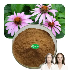 Pureza Echinacea Purpurea Extracto en polvo 4% polifenoles