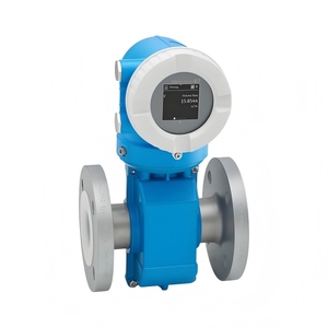 Débitmètre électromagnétique Proline Promag P 10 - Product Image 1