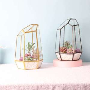 <span class=keywords><strong>Terrarium</strong></span> géométrique <span class=keywords><strong>en</strong></span> <span class=keywords><strong>verre</strong></span> extra large de 16 pouces, boîte <span class=keywords><strong>pour</strong></span> reptiles, <span class=keywords><strong>vase</strong></span> <span class=keywords><strong>pour</strong></span> plantes succulentes - Product Image 5