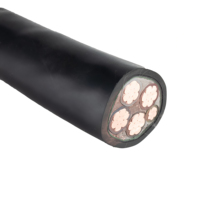 Câble d'alimentation souterrain pour photovoltaïque, conducteur en cuivre 600/1000V, isolation XLPE, blindage en bande d'acier, gaine LSZH