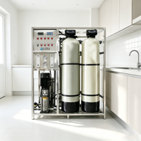 Machine de purification d'eau domestique extérieure à osmose inverse 1 tonne/heure, usine de production d'eau, purificateur d'eau