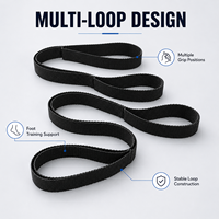 Conjunto de Correas de Yoga de Alta Calidad, Bandas de Resistencia No Elásticas, Ecológicas, de 100 lb, para Fisioterapia y Fitness