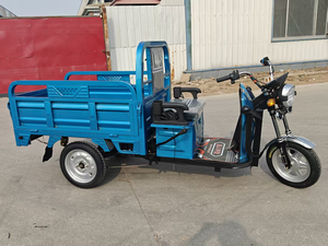 Triciclo Motorizado de 600W con Voltaje de 60V - Product Image 2