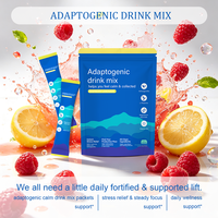 Mélange de Boissons Adaptogènes en Sachet OEM Ashwagandha L-Théanine pour Soulager le Stress et Favoriser le Sommeil – Complément en Poudre