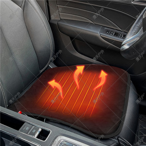 Cojín Calefactor para Asiento de Coche, de Algodón, para Invierno, Eléctrico, Negro, Forma Plana - Product Image 1