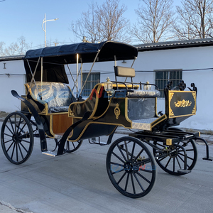 Fabricant de calèches royales électriques de luxe à quatre roues noires pour le tourisme, calèche électrique à vendre - Product Image 6