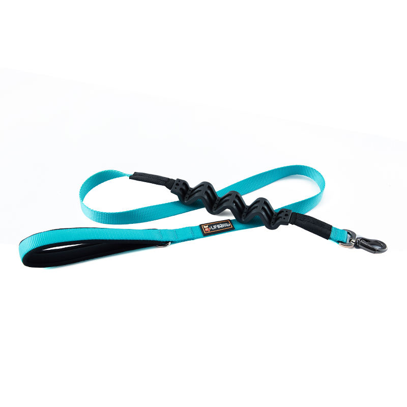 สายจูงสีฟ้า